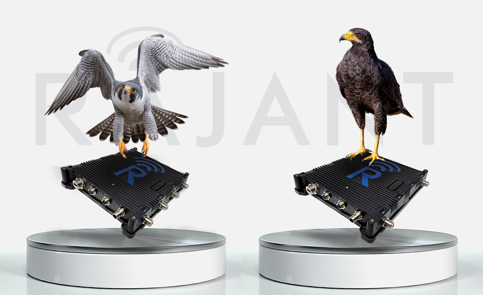 Peregrine Hawk Rajant