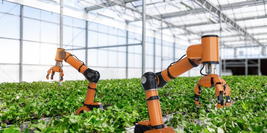 Two orange robotic arms harvest crops in a greenhouse filled with green plants, illustrating the use of automation and robotics in modern agriculture. Sunlight shines through the glass ceiling above.