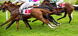 Jockeys riding racehorses in a close competition on a grassy track, with the horses running side by side and only their midsections visible.