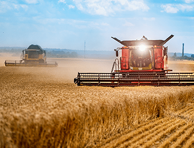 Two red combine harvesters harvest golden wheat in a large, open field under a blue sky. Dust rises behind the machines as they move through the crops, collecting the ripe grain.