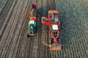 Aerial view of a field with a green tractor pulling a trailer being filled with harvested potatoes by a red harvesting machine. The soil is freshly tilled, and rows of harvested crops are visible.